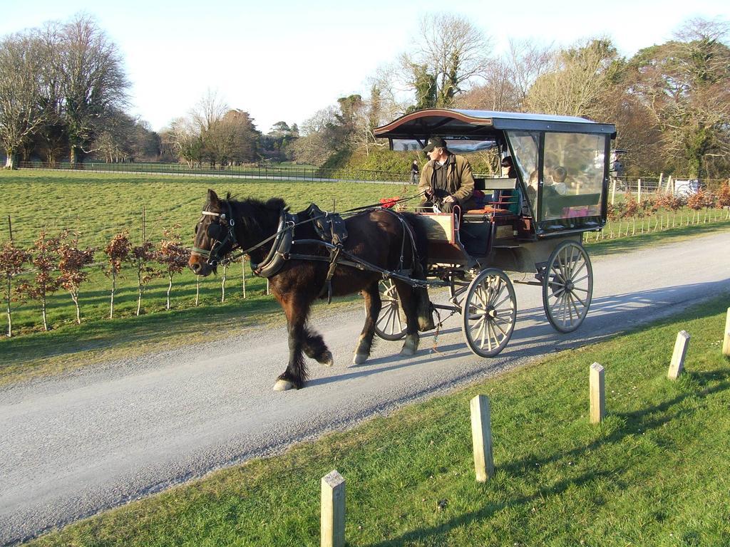 Rockfield House B&B Killarney Ngoại thất bức ảnh